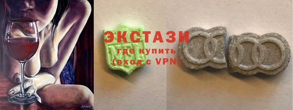 хмурый Ельня