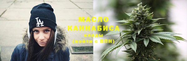 хмурый Ельня