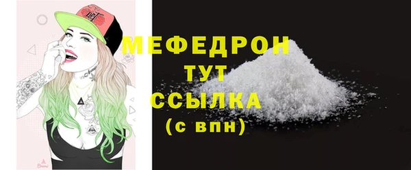 хмурый Ельня