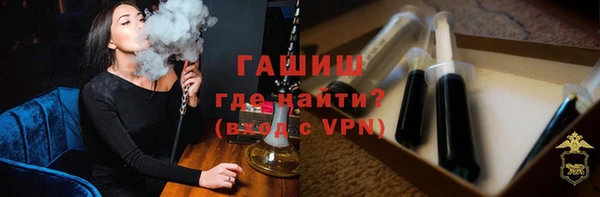 хмурый Ельня
