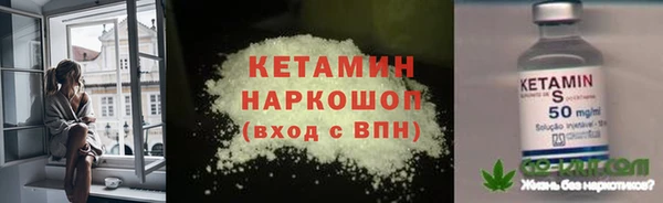 хмурый Ельня