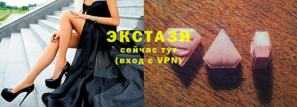 хмурый Ельня