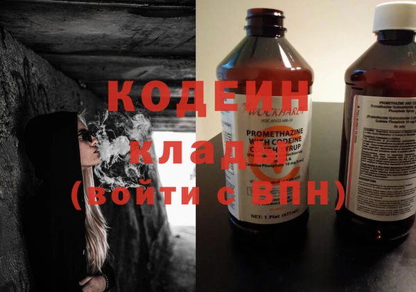 хмурый Ельня