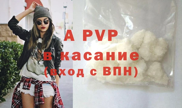 хмурый Ельня