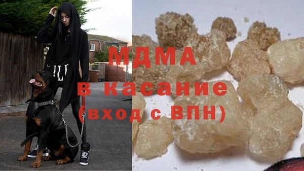 хмурый Ельня