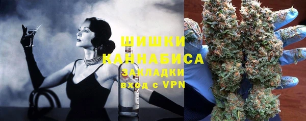 хмурый Ельня