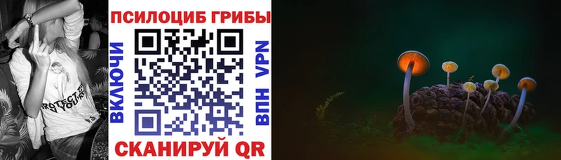 Псилоцибиновые грибы MAGIC MUSHROOMS  Купить закладки  Калининск 
